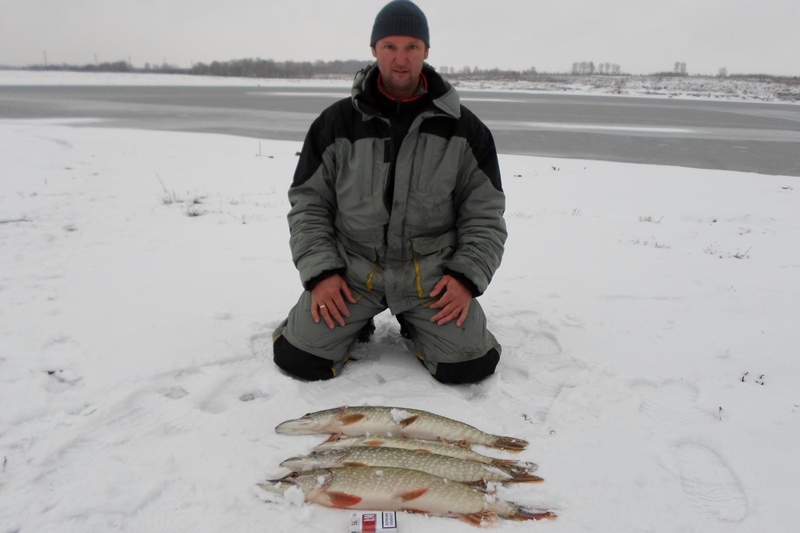 Прикрепленное изображение