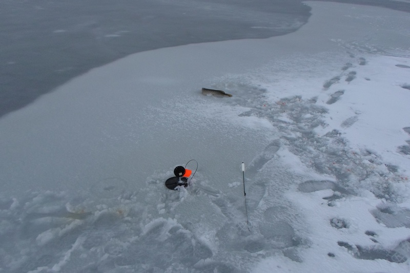 Прикрепленное изображение