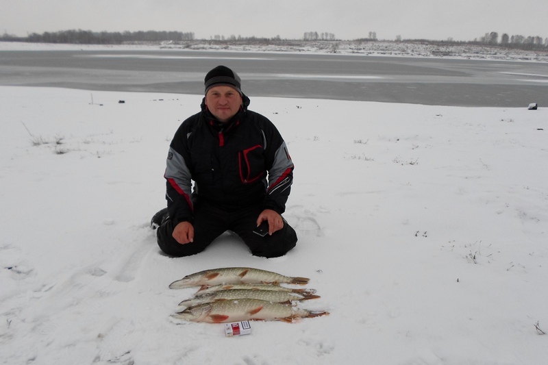 Прикрепленное изображение