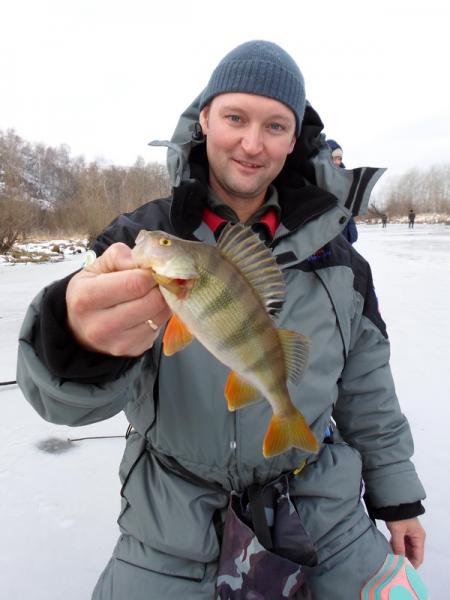 Прикрепленное изображение