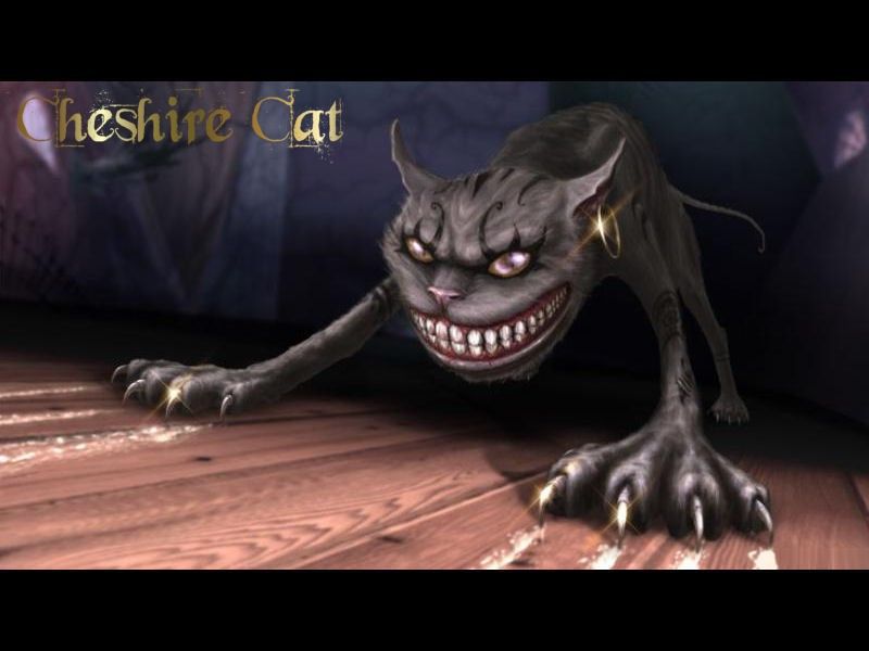 3d24b6069730de5.jpg