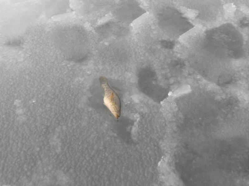 DSCN1077.JPG