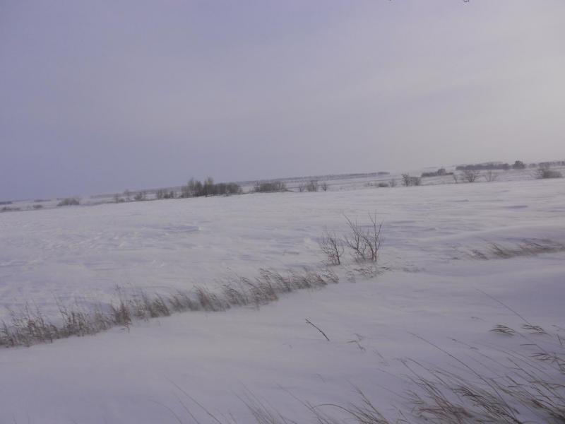 DSCN1107.JPG