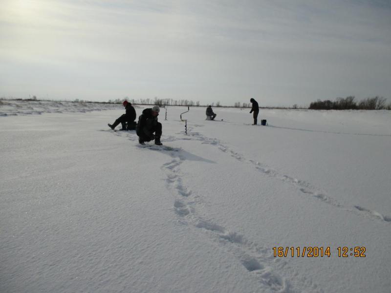 IMG_0251.JPG
