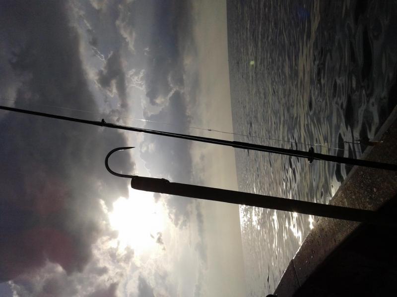 20141116_165301.jpg