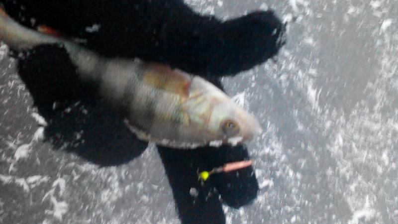 IMG_20141111_163803.jpg