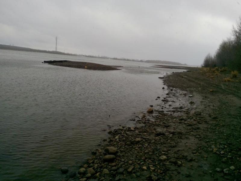 IMG_20141108_130734.jpg