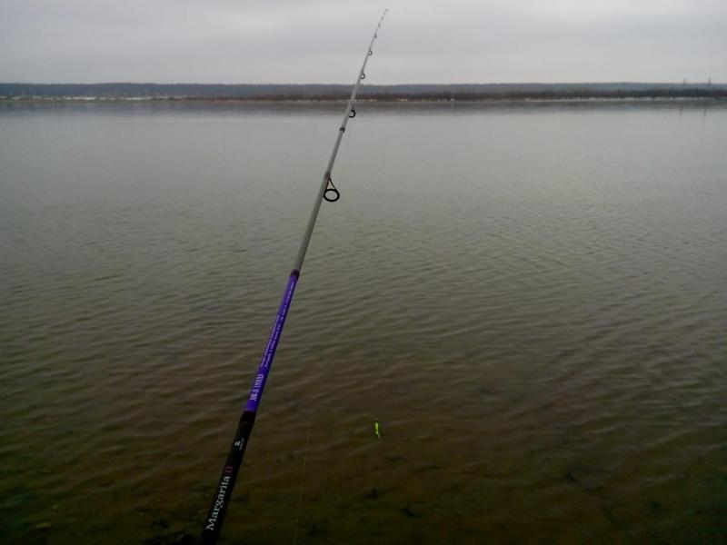 IMG_20141104_124451.jpg