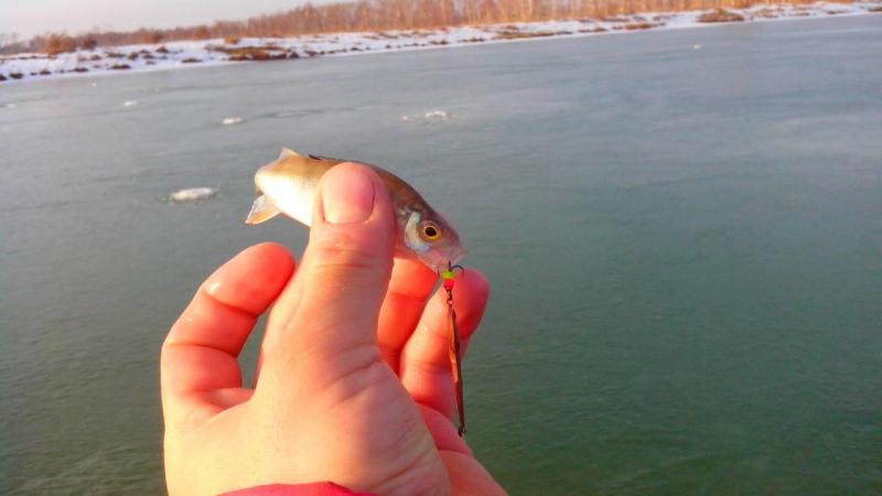 IMG_20141106_152118.jpg