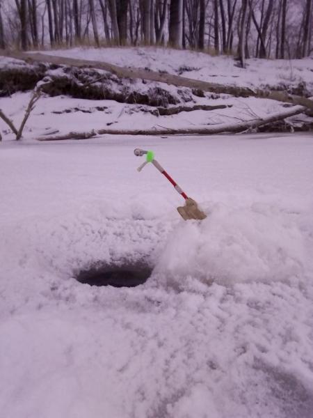 Прикрепленное изображение