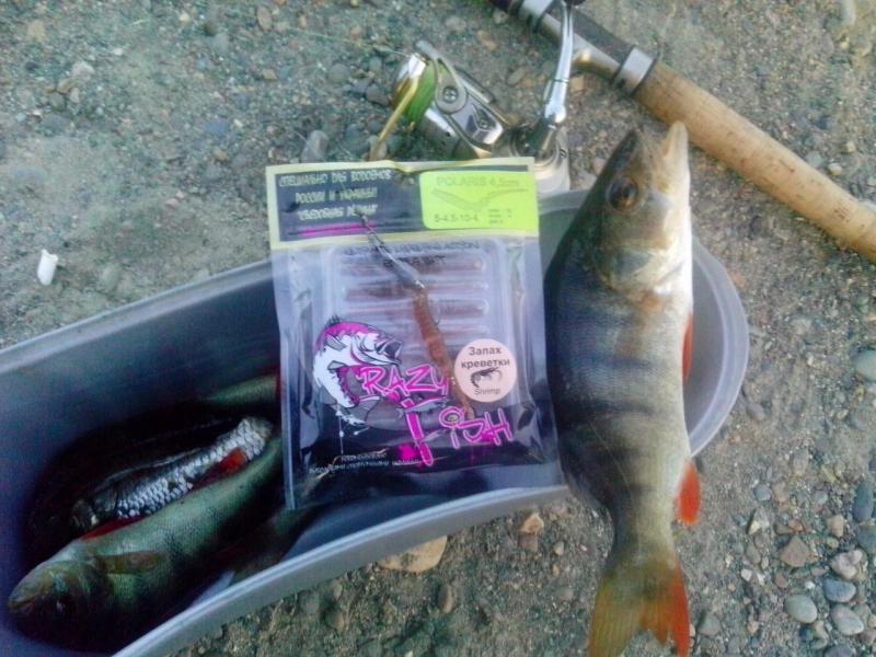 Прикрепленное изображение