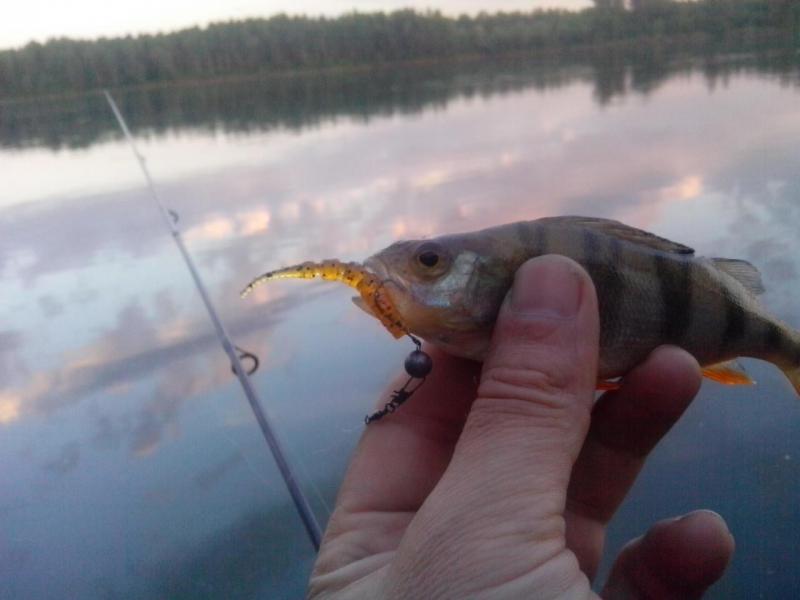 Прикрепленное изображение