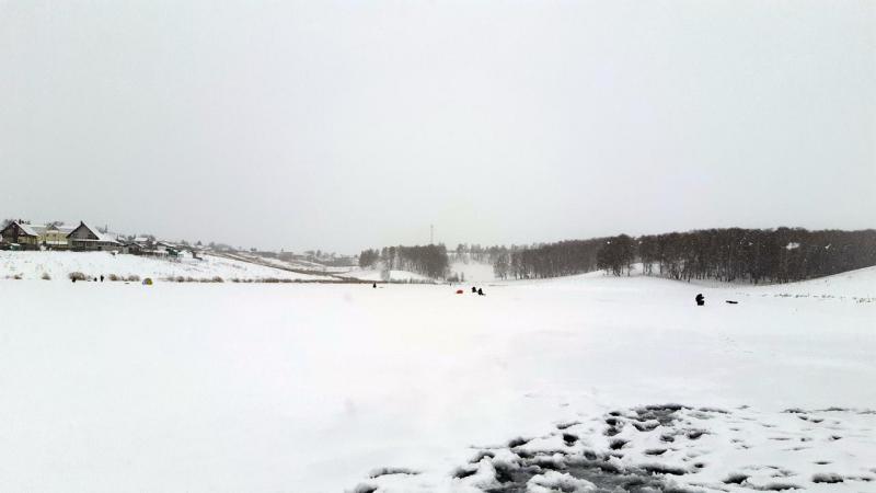 Прикрепленное изображение