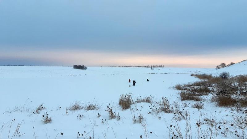 Прикрепленное изображение
