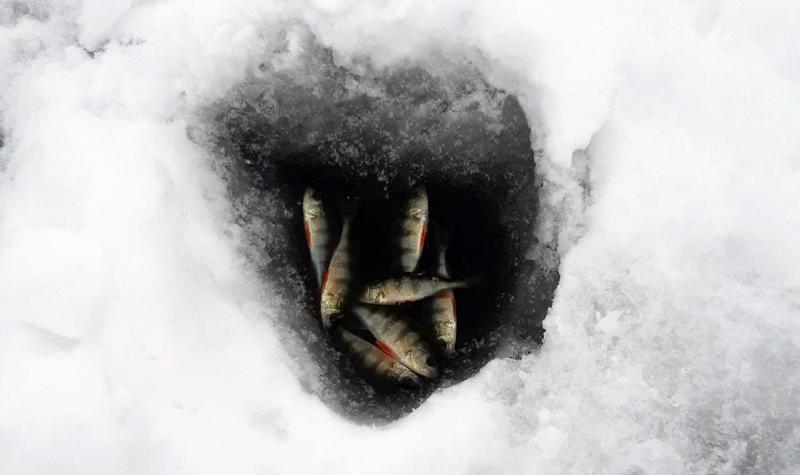 Прикрепленное изображение