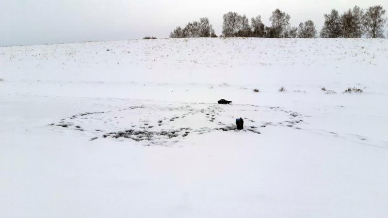 Прикрепленное изображение