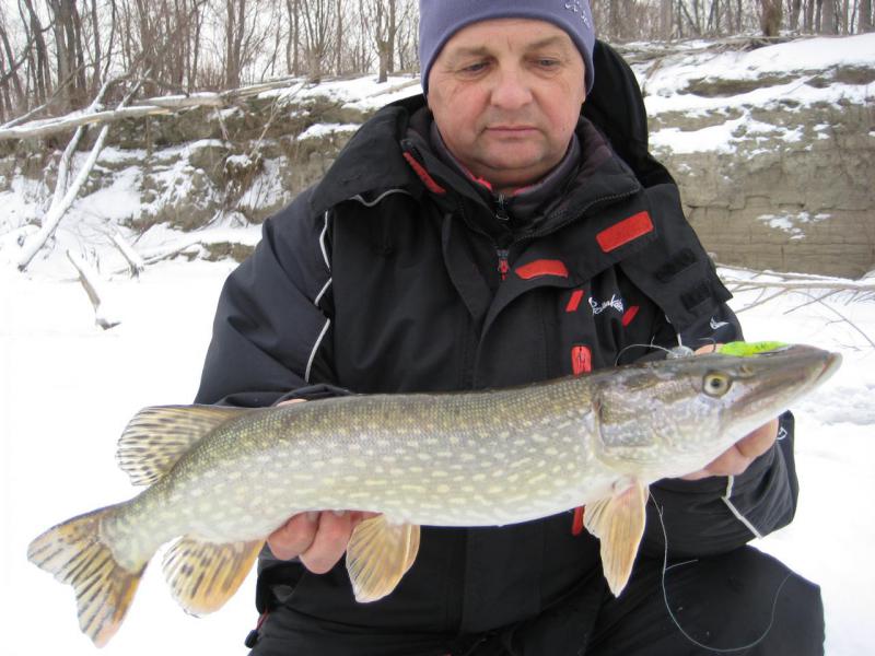 Прикрепленное изображение: IMG_7328.JPG