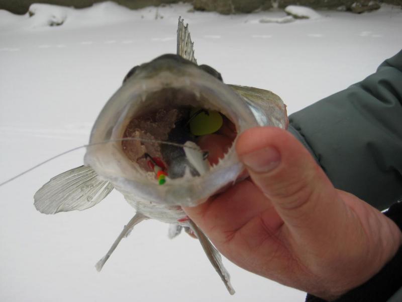 Прикрепленное изображение: IMG_7330.JPG