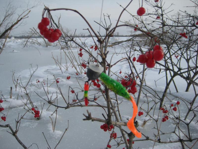 Прикрепленное изображение: IMG_7254.JPG