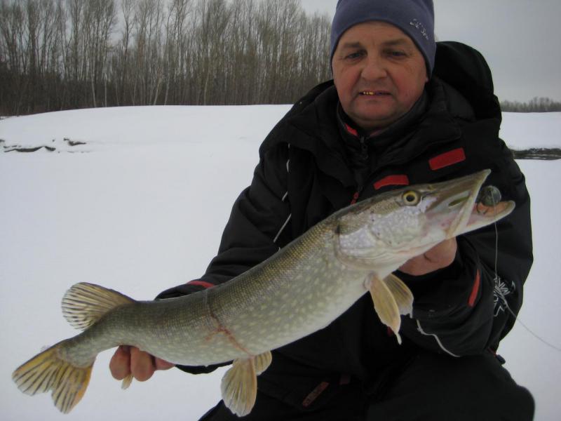 Прикрепленное изображение: IMG_7320.JPG