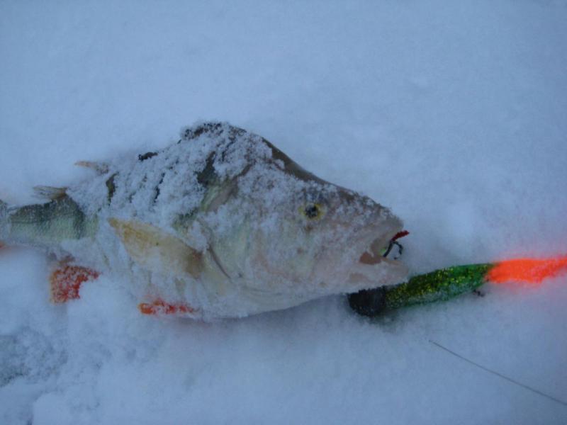 Прикрепленное изображение: IMG_7258.JPG