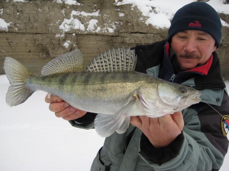 Прикрепленное изображение: IMG_7329.JPG