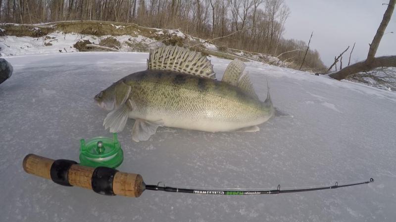 Эпизод 02.00_00_37_05.неподвижное изображение005.jpg