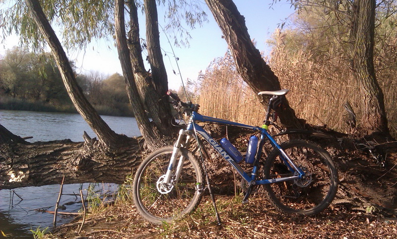 IMAG0649.jpg