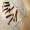 post-3200-0-69454900-1573117975_thumb.jp