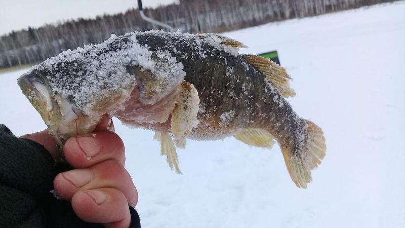 20191130_112255.jpg