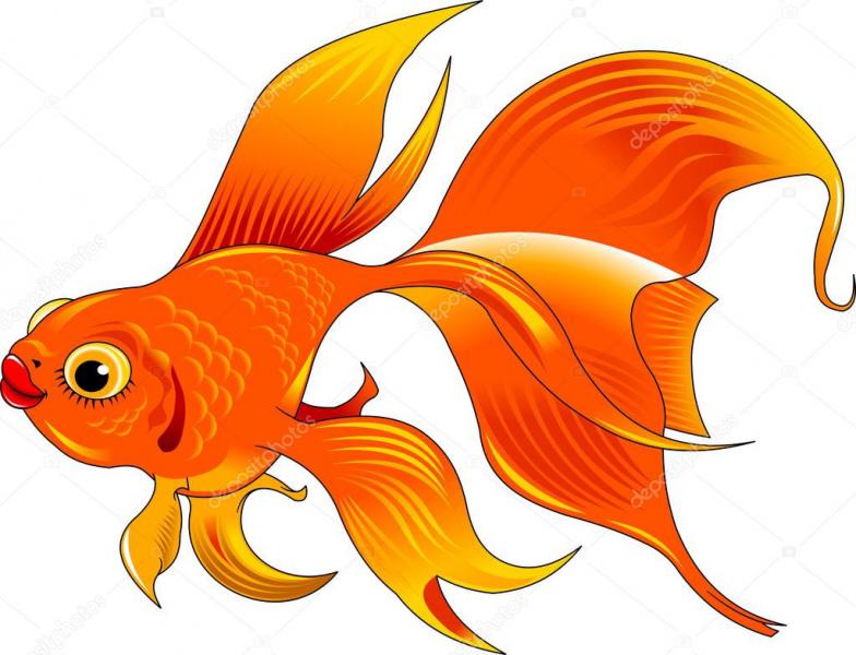 depositphotos_119565318-stock-illustration-cute-gold-fish.jpg