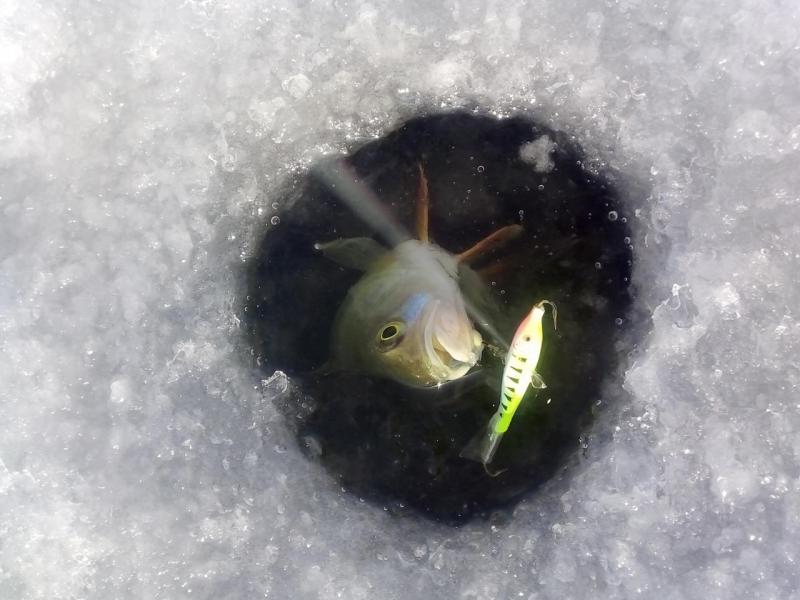 Прикрепленное изображение