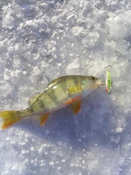 Прикрепленное изображение