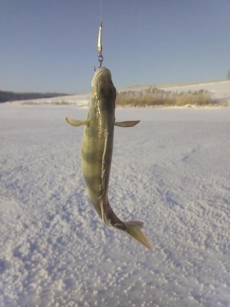 Прикрепленное изображение