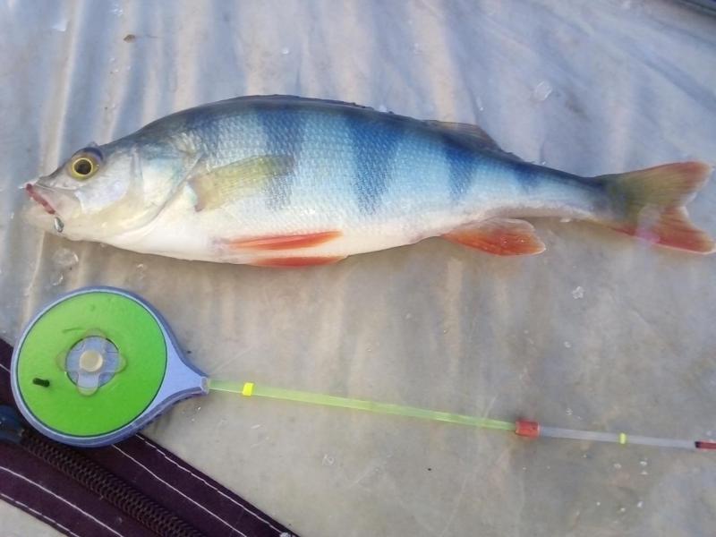 Прикрепленное изображение