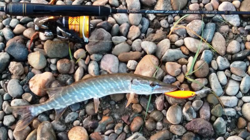 Прикрепленное изображение