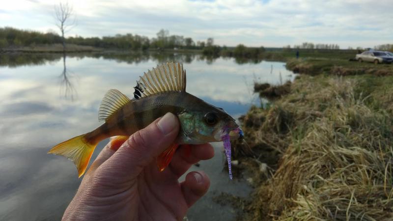 Прикрепленное изображение