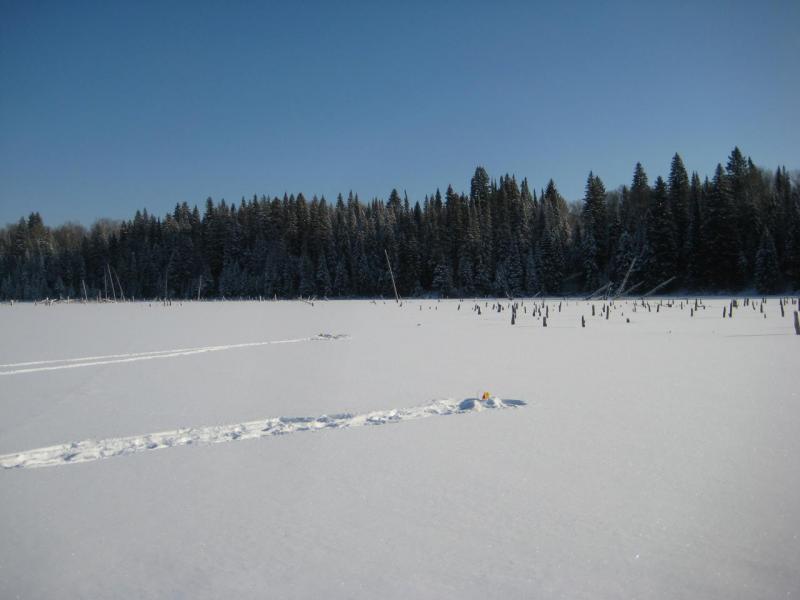 Прикрепленное изображение: IMG_8301.JPG