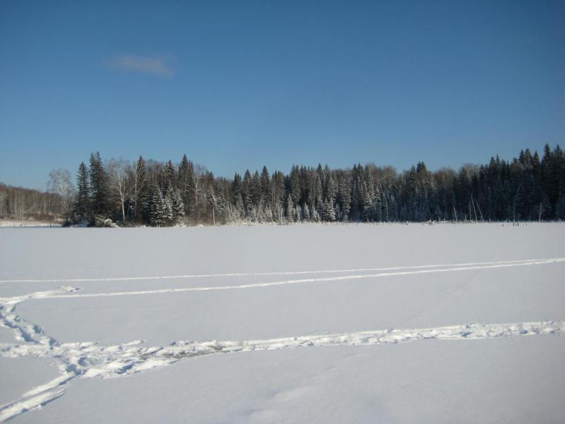 Прикрепленное изображение: IMG_8300.JPG