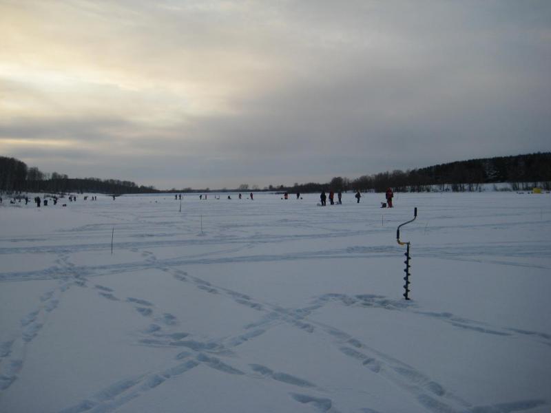 Прикрепленное изображение: IMG_8345.JPG