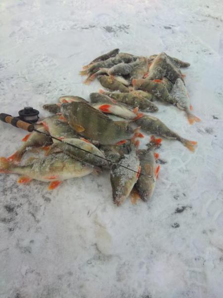 Прикрепленное изображение: IMG-20191126-WA0023.jpg