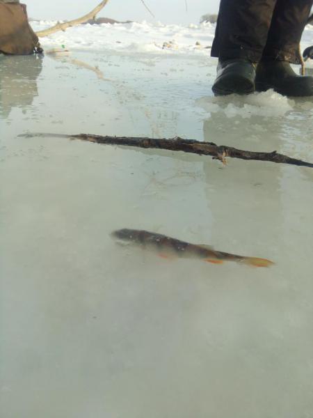 Прикрепленное изображение: IMG_20191126_153003.jpg