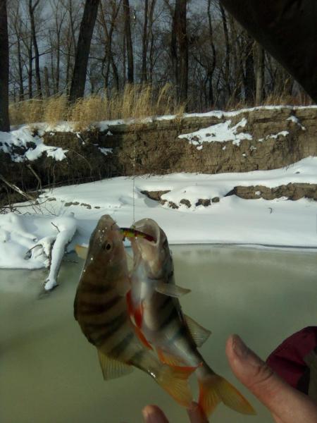 Прикрепленное изображение: IMG_20191126_134511.jpg