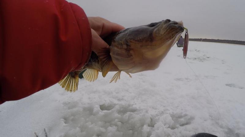 Эпизод 01.00_11_33_06.Still012.jpg