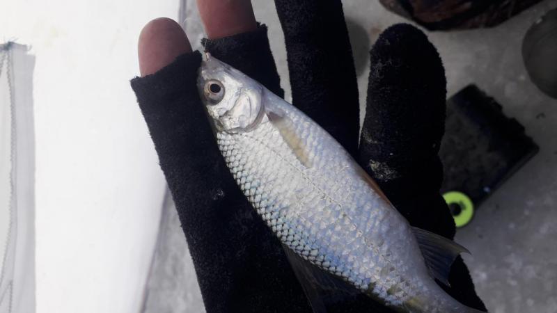 20191117_155604.jpg