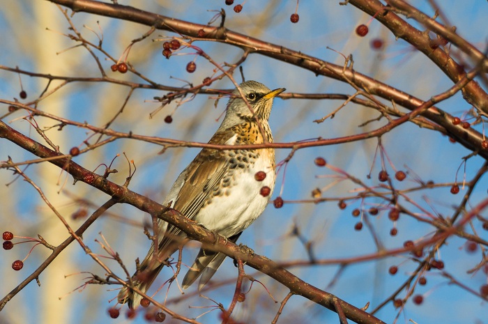 DSC_8667.jpg
