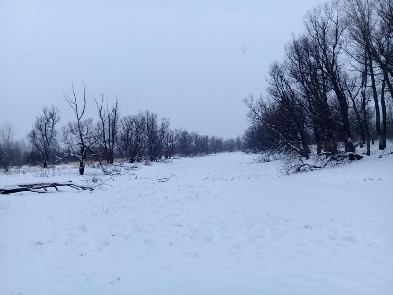 20191117_100622.jpg