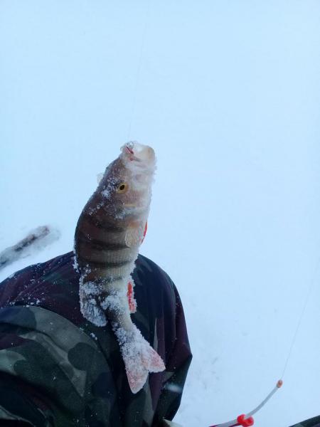 20191117_111642.jpg