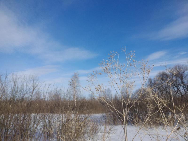 P90216-154632.jpg