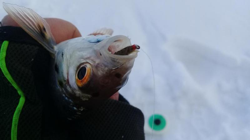 20191126_111004.jpg